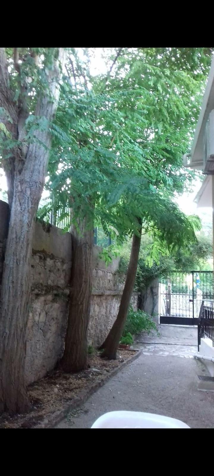 דירות Kariá Karya House מראה חיצוני תמונה